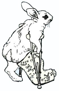 Description: C:\Users\Esther\Medirabbit\Bone diseases\HE\Crutchbun_fr.jpg
